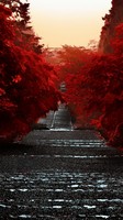 descargar wallpaper de Naturaleza